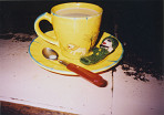 katsuroco04_thumb.jpg